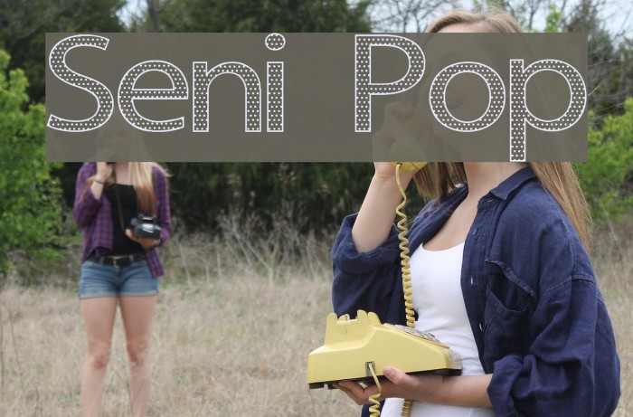 Seni Pop Font examples