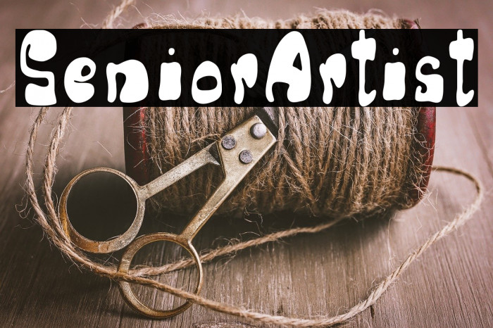 SeniorArtist Example 2