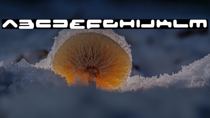 SeniorService-Regular Example 2