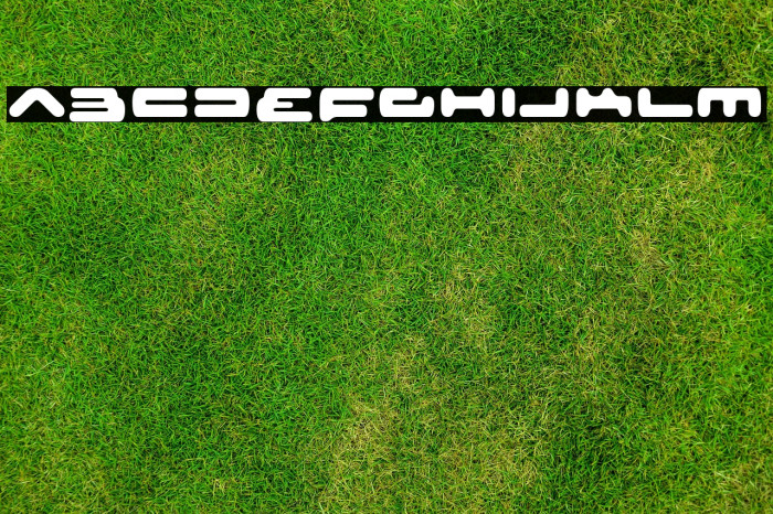 SeniorService-Regular Example 3