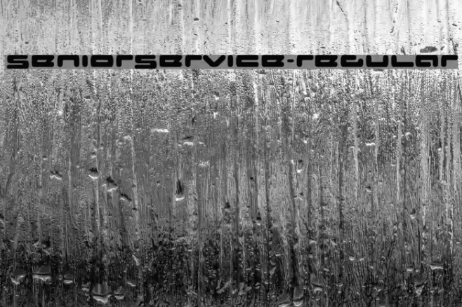SeniorService-Regular Font examples