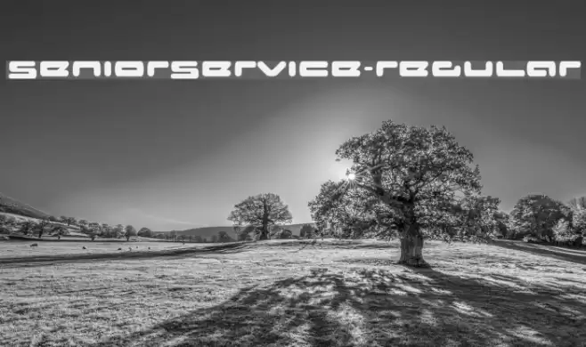 SeniorService-Regular Font examples