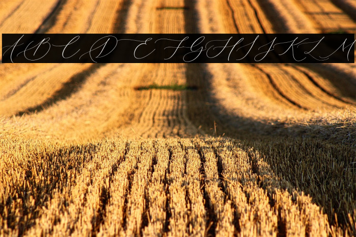 Senja Mentari Example 2