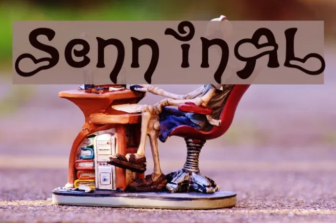 SenninAL Example 1