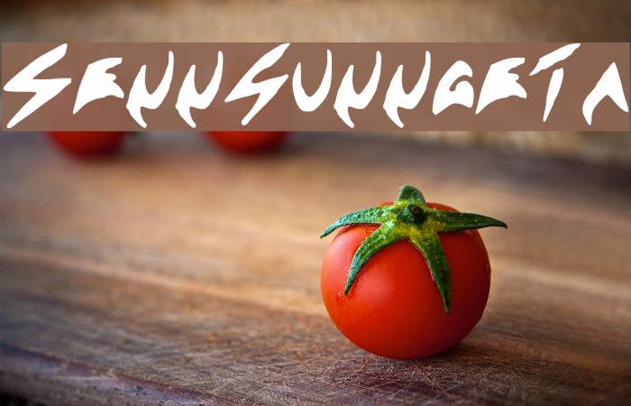 Sennsunngeta Font examples