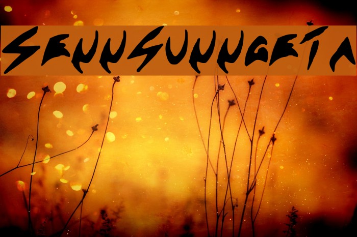 Sennsunngeta Font examples