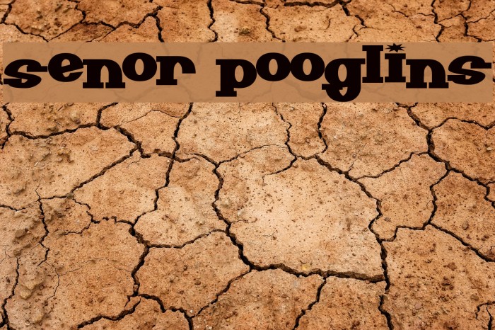 Senor Pooglins Font examples