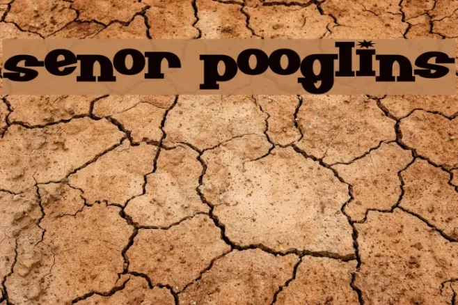 Senor Pooglins Example 2
