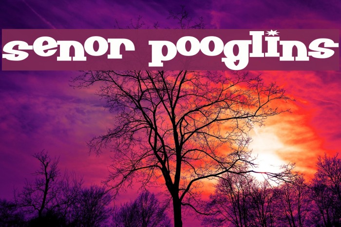 Senor Pooglins Font examples