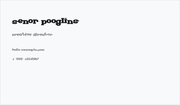 Senor Pooglins Business Card