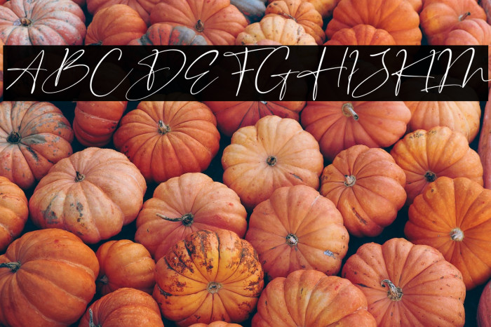 Senorita Signature Italic Example 2