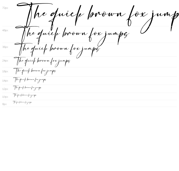 Senorita Signature Italic Waterfall