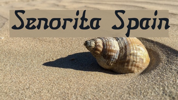 Senorita Spain Font examples