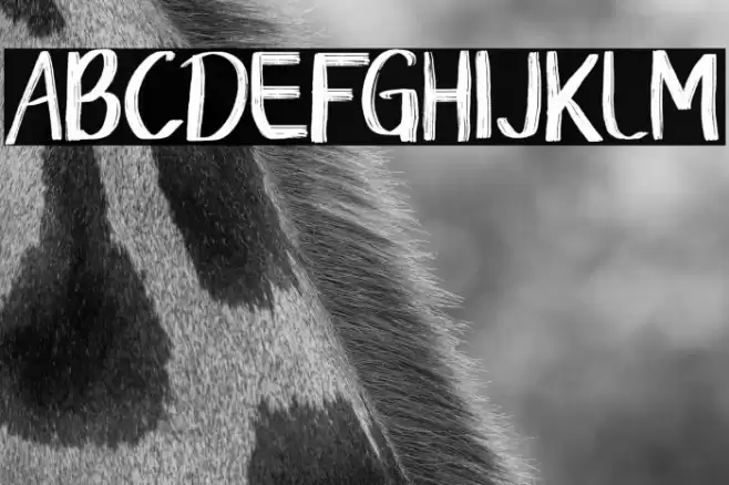 Senorita Font examples