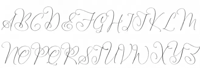 Senorytta Schriftart Groß