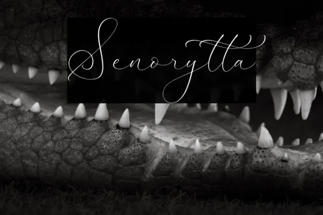 Senorytta Example 1