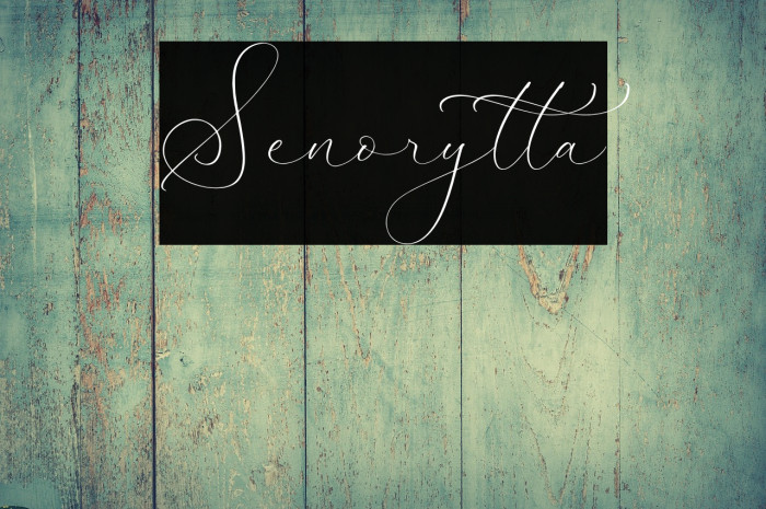 Senorytta Example 3