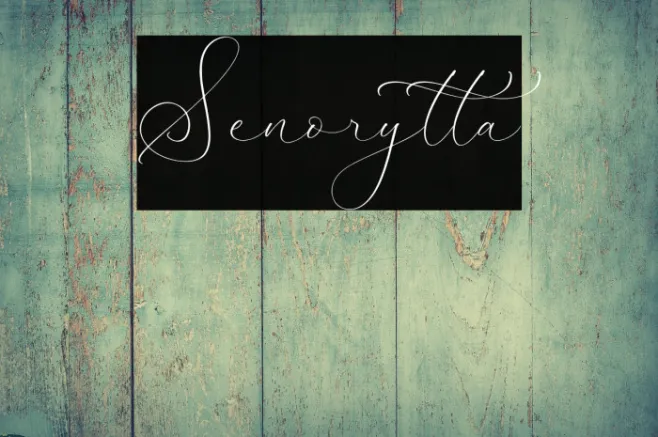 Senorytta Example 3