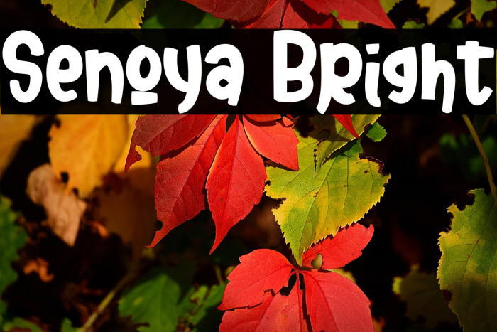 Senoya Bright Example 1