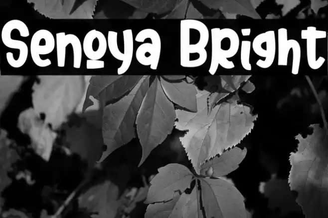 Senoya Bright Font examples