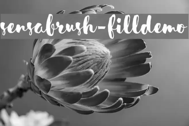 SensaBrush-FillDemo Font examples