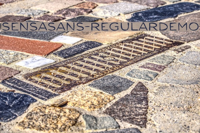 SensaSans-RegularDemo Font examples