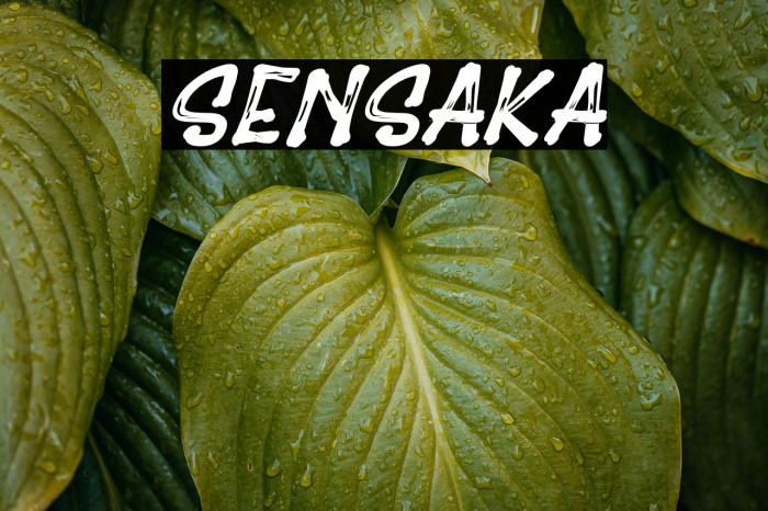 Sensaka Example 2