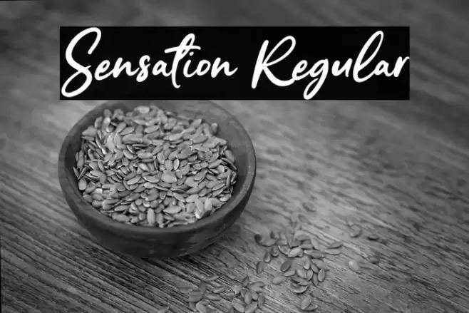 Sensation Regular Font examples