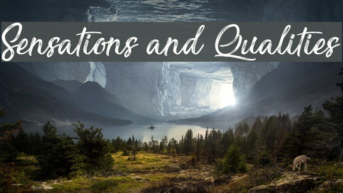 Sensations and Qualities Font examples