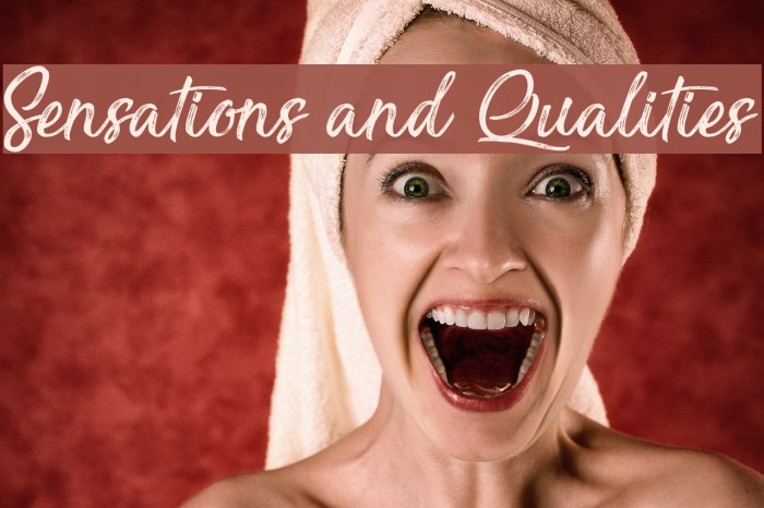 Sensations and Qualities Font examples