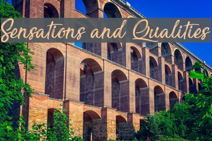Sensations and Qualities Font examples