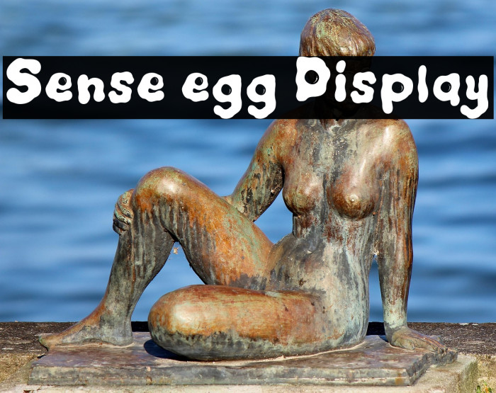Sense egg Display Example 2