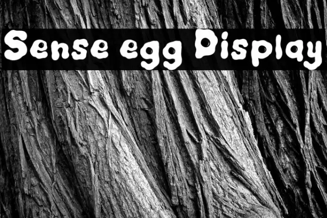 Sense egg Display Font examples