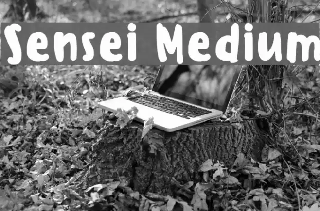 Sensei Medium Font examples