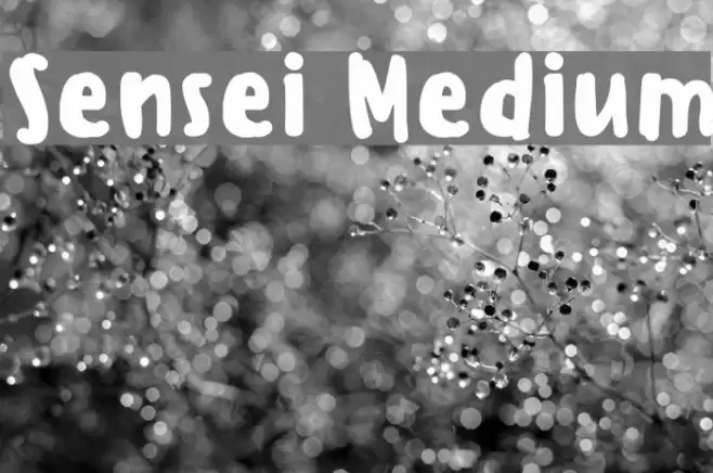 Sensei Medium Font examples