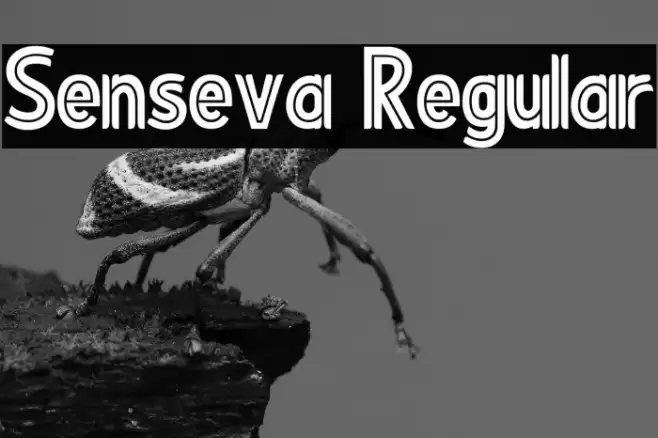 Senseva Regular Font examples