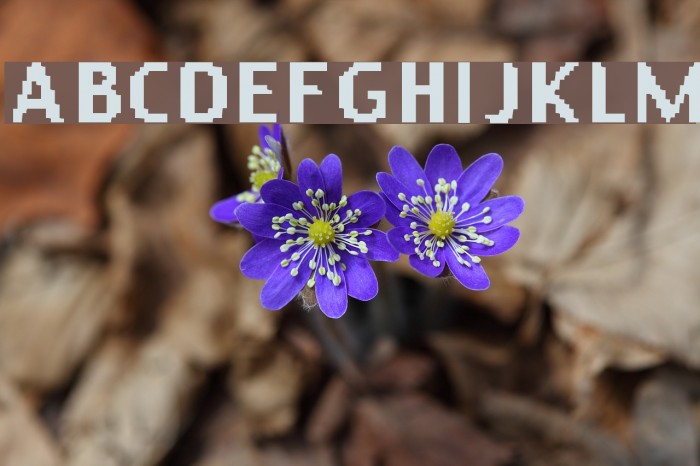 Sensible Data Example 2