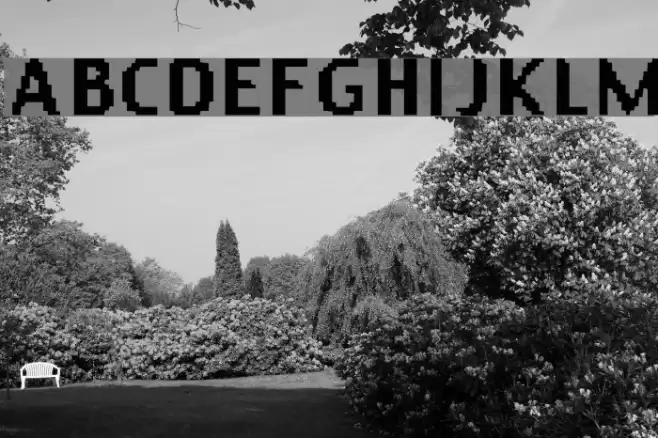 Sensible Data Font examples