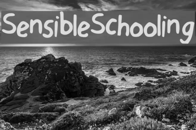 Sensible Schooling Font examples