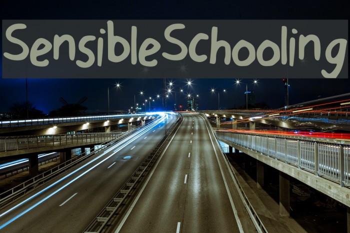 Sensible Schooling Font examples