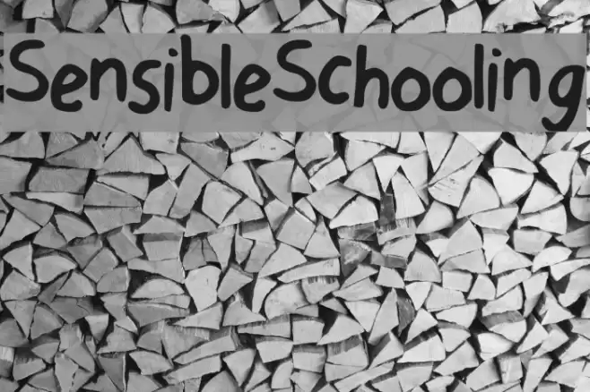 Sensible Schooling Font examples