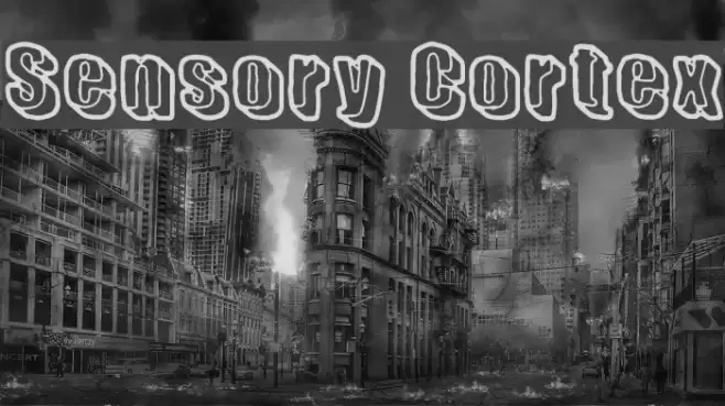 Sensory Cortex Font examples