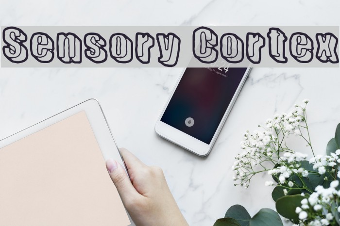 Sensory Cortex Font examples