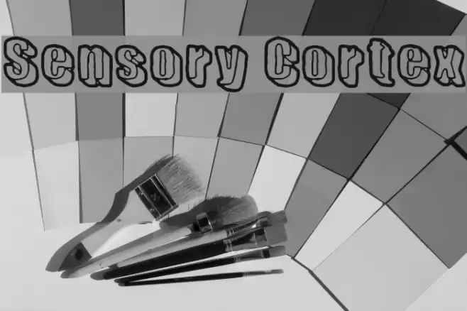 Sensory Cortex Font examples