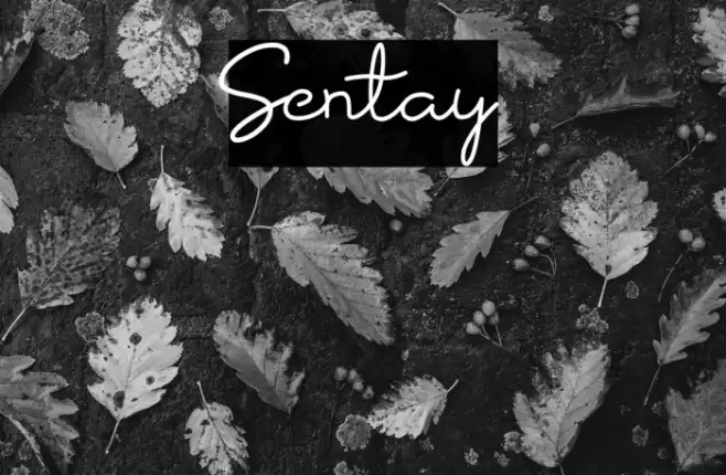 Sentay Font examples