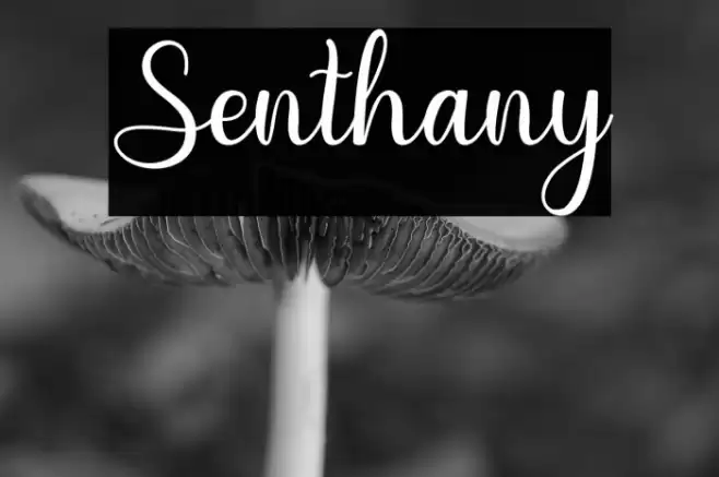 Senthany Font examples