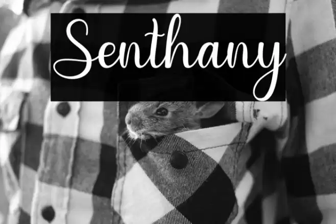 Senthany Font examples