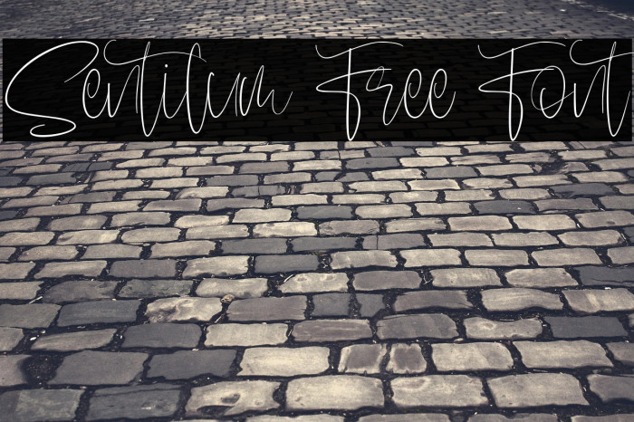 Sentilum Free Font Example 2