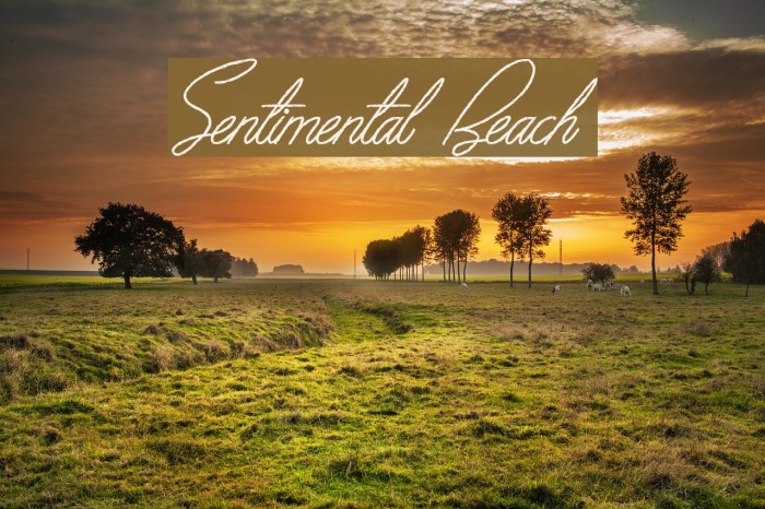 Sentimental Beach Font examples