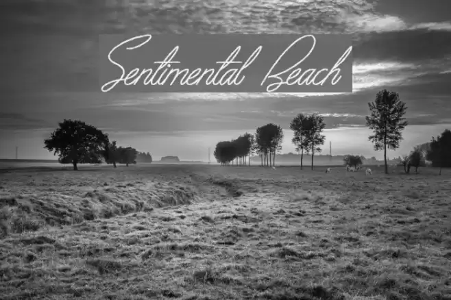 Sentimental Beach Font examples